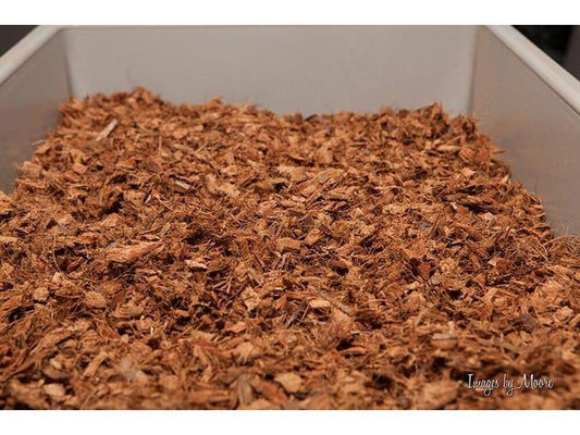 Premium Pet Bedding™ Bark supplies DubiaRoaches.com