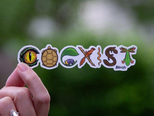 Coexist Sticker Color