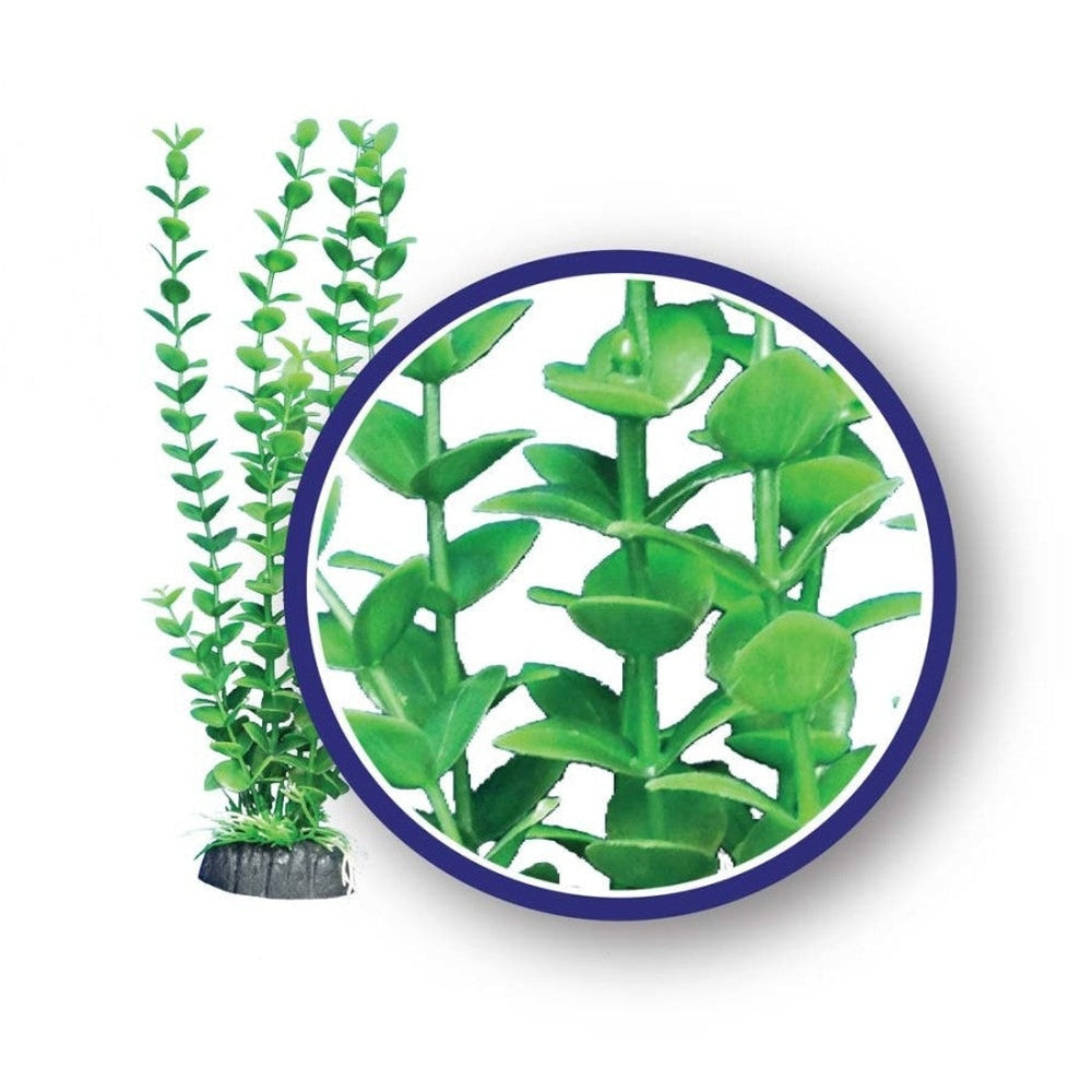 Weco Products Freshwater Series Bacopa Aquarium Plant Green, 1ea/6 in Aquatic Decor Weco