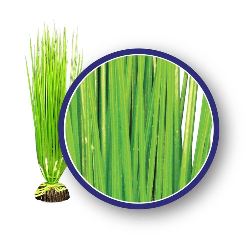 Weco Products Freshwater Series Asian Hairgrass Aquarium Plant Green, 1ea/12 in Aquatic Decor Weco