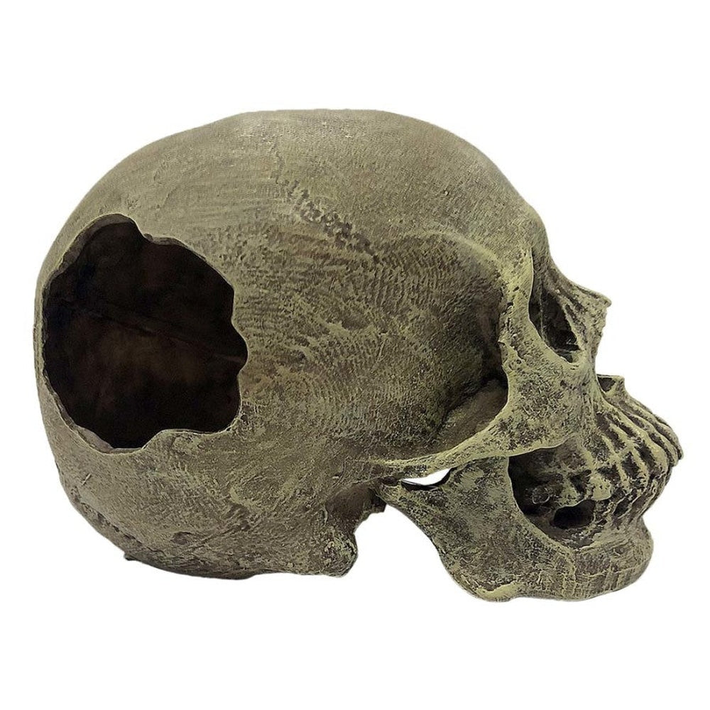 Komodo Full Human Skull Reptile Hideout Gray One Size Komodo