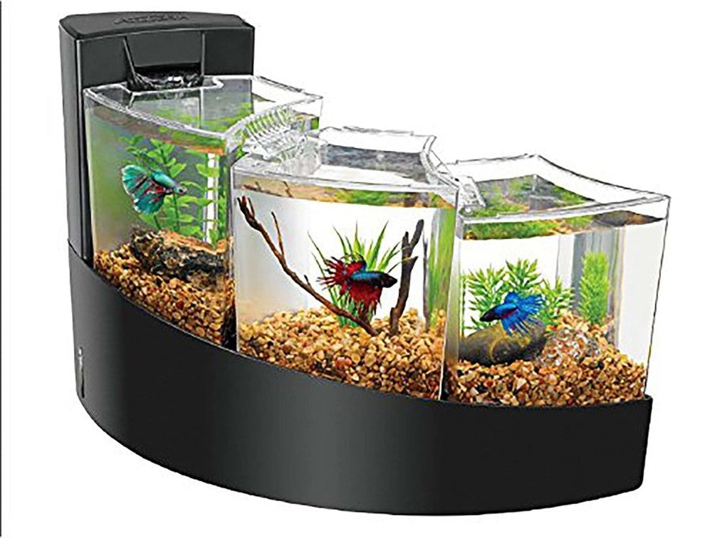 Aqueon Betta Falls Kit Black 1ea/One Size Fish Supplies Aqueon