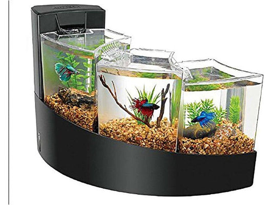 Aqueon Betta Falls Kit Black 1ea/One Size Fish Supplies Aqueon