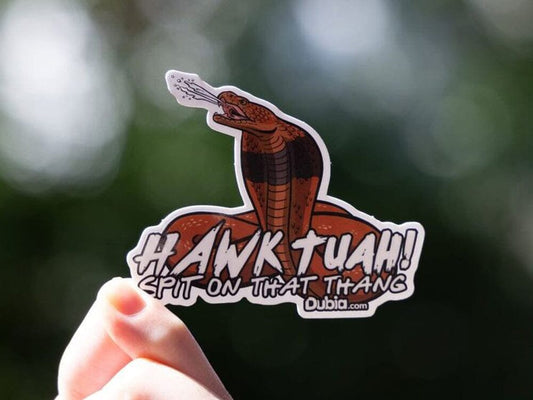 Hawk Tuah! Stickers