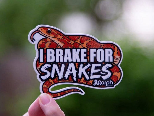 I Brake For Snakes Sticker Sticker Dubia.com 