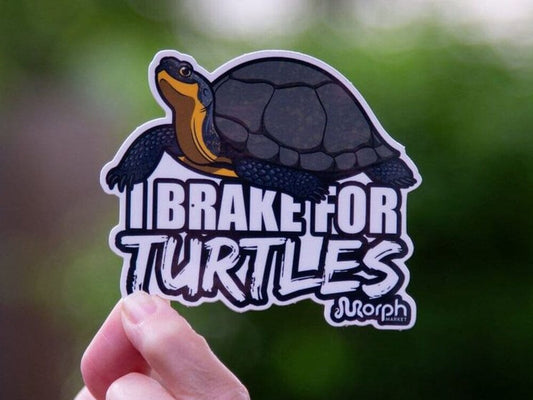 I Brake For Turtles Sticker Sticker Dubia.com 