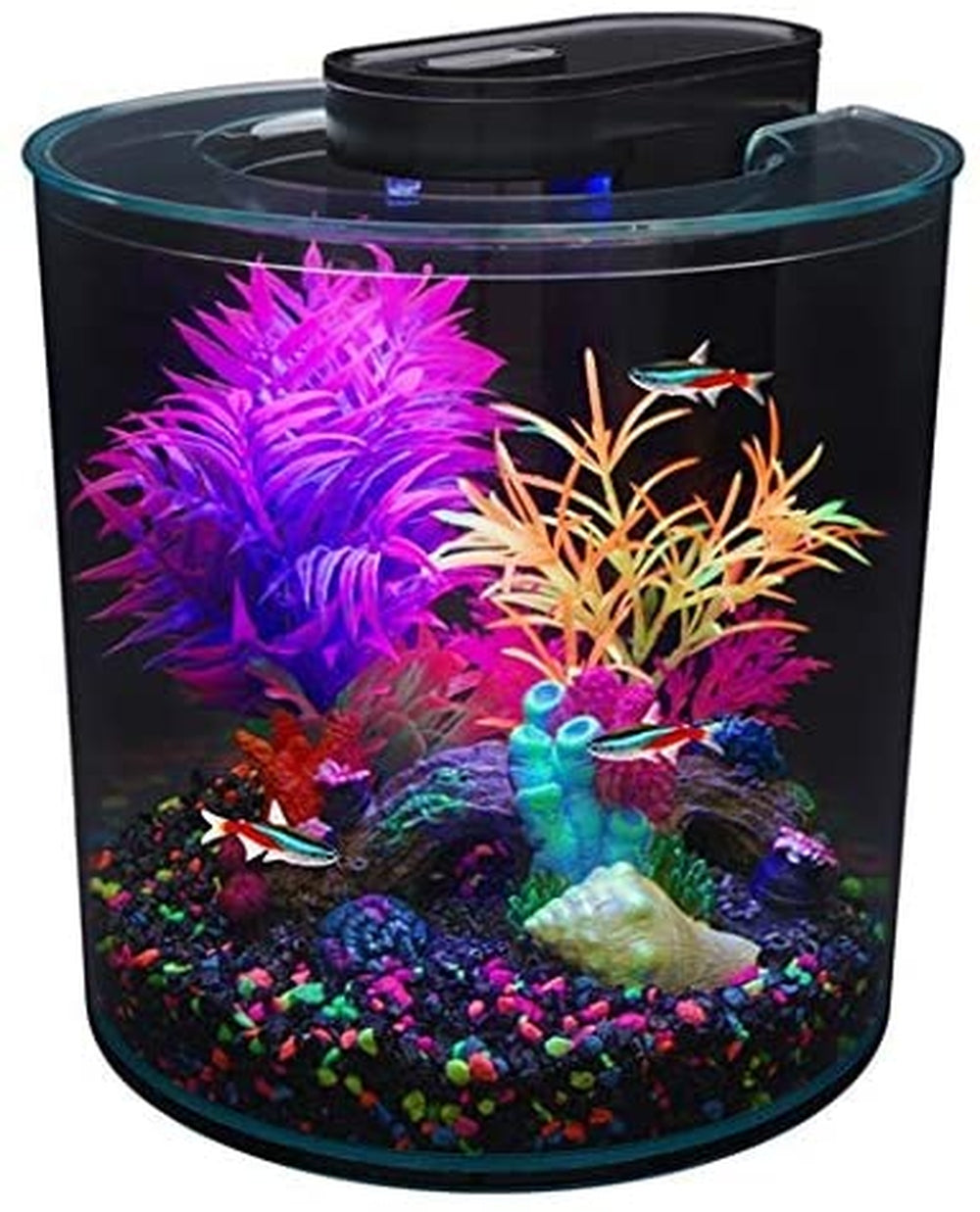 Marina iGlo 360 Aquarium Kit 2.64 gal.