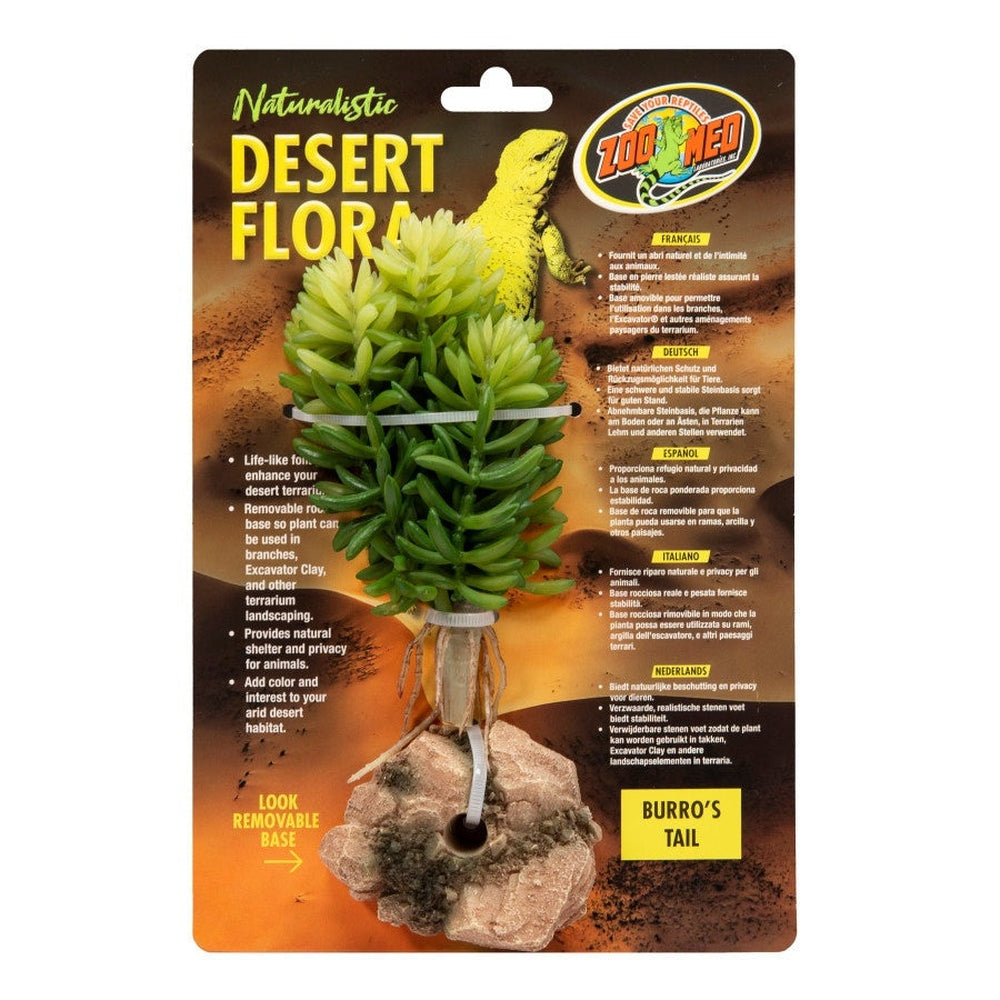 Zoo Med Desert Flora Plant Burro's Tail, 1ea/One Size