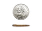 Medium Superworms superworms DubiaRoaches.com