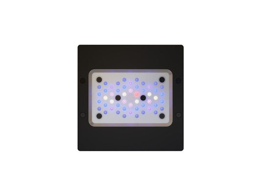EcoTech Marine Radion XR15 G6 Blue LED Aquarium Light Fixture 1ea/95 W