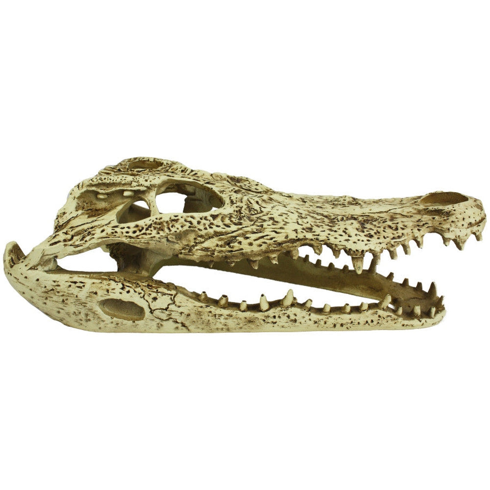 Komodo Alligator Skull Hideout