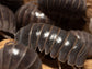 "Sicily" locale Isopods Armadillo officinalis