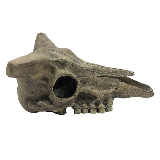 Komodo Deer Skull Reptile Hideout Gray One Size Komodo