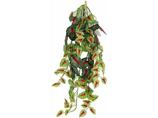 Pangea Hanging Bush Caladium (24inch) Animals & Pet Supplies Pangea