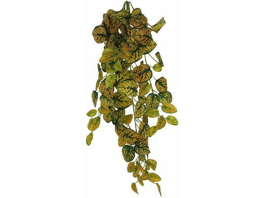 Pangea Hanging Bush Japanese Laurel (24inch) Animals & Pet Supplies Pangea