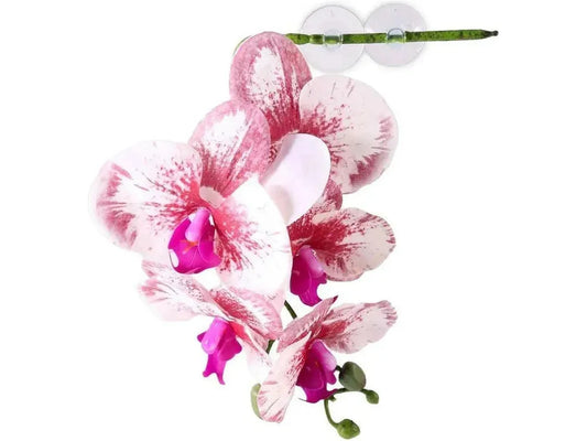 Pangea Hanging Orchid White Animals & Pet Supplies Pangea