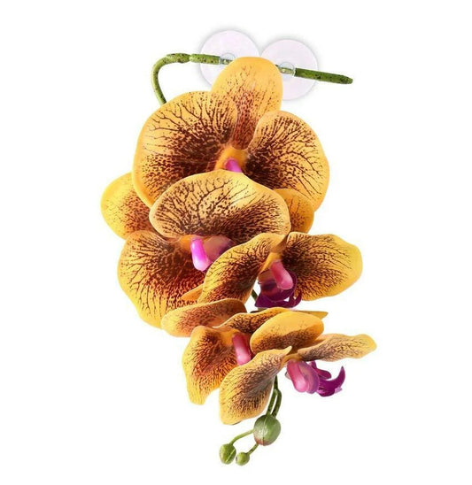 Pangea Hanging Orchid Yellow Animals & Pet Supplies Pangea