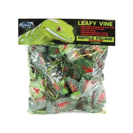 Pangea Leafy Vine Caladium (6ft) Animals & Pet Supplies Pangea