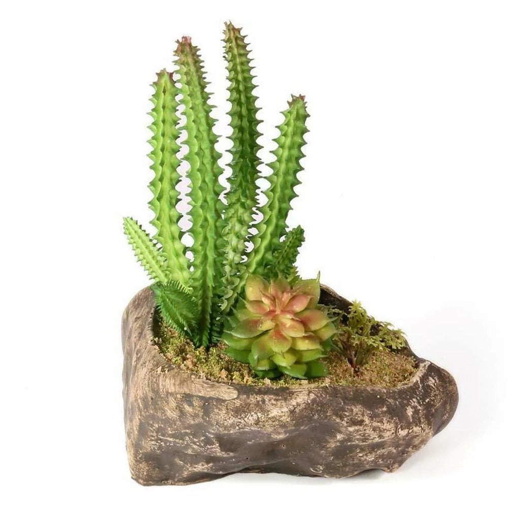 Pangea Succulent Garden #1 Animals & Pet Supplies Pangea