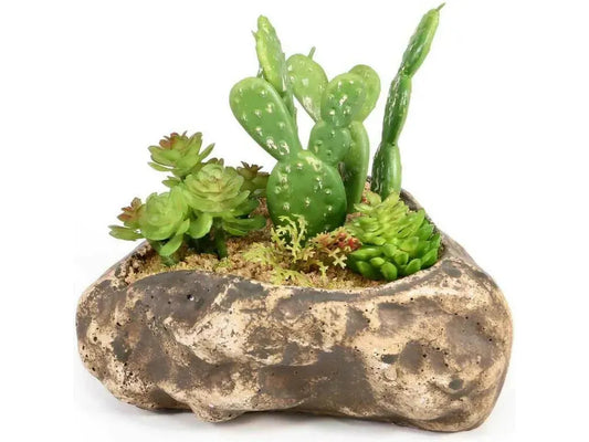 Pangea Succulent Garden #4 Animals & Pet Supplies Pangea