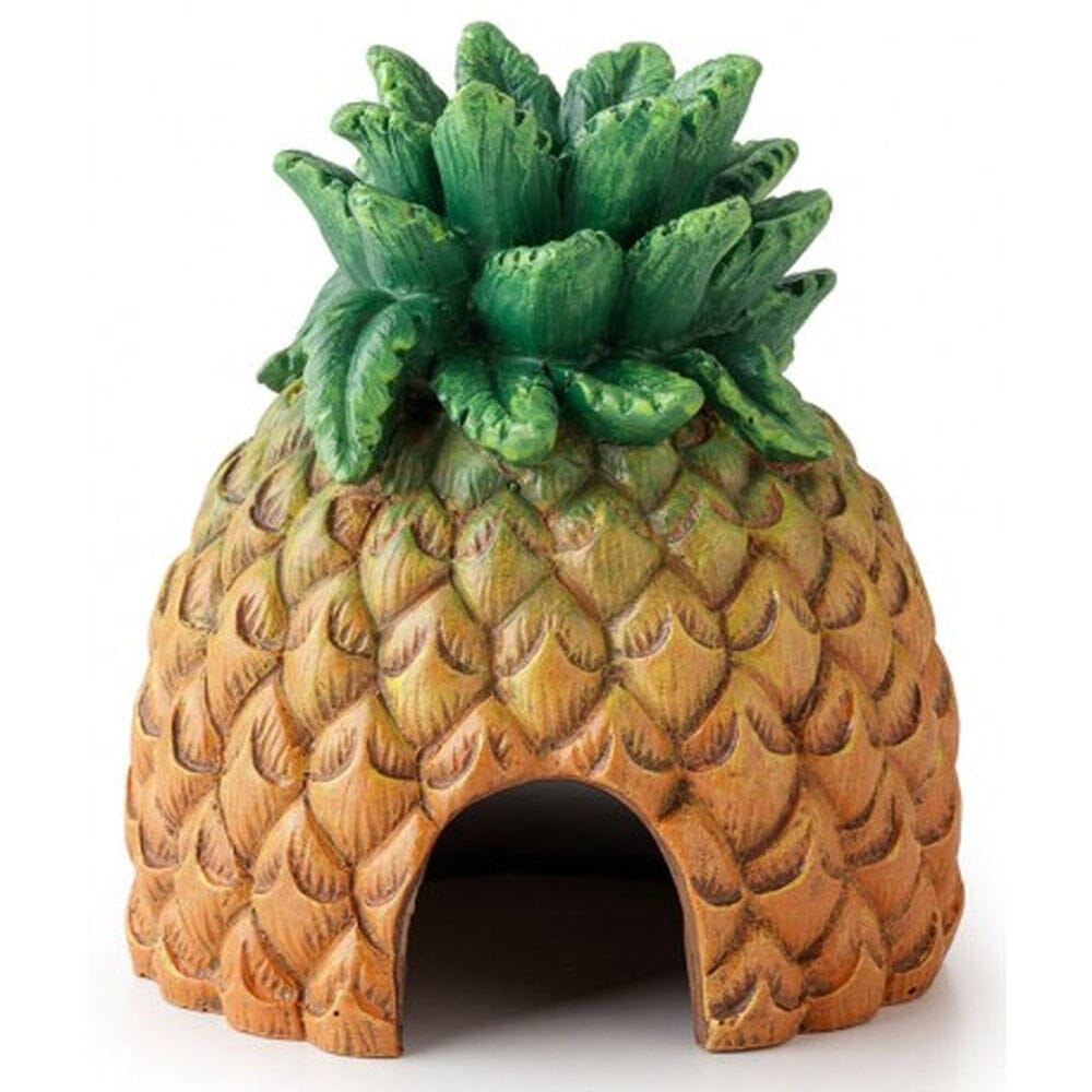 Exo Terra Pineapple Hut Exo Terra 