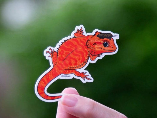 Red Beardie Sticker Sticker Dubia.com 