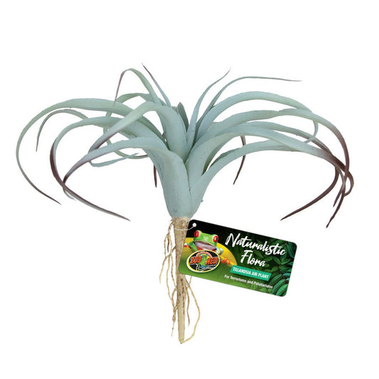 Zoo Med Naturalistic Flora Tillandsia Air Plant Terrarium Plant Gray, Tan, 1ea Animals & Pet Supplies > Pet Supplies > Fish Supplies Zoo Med