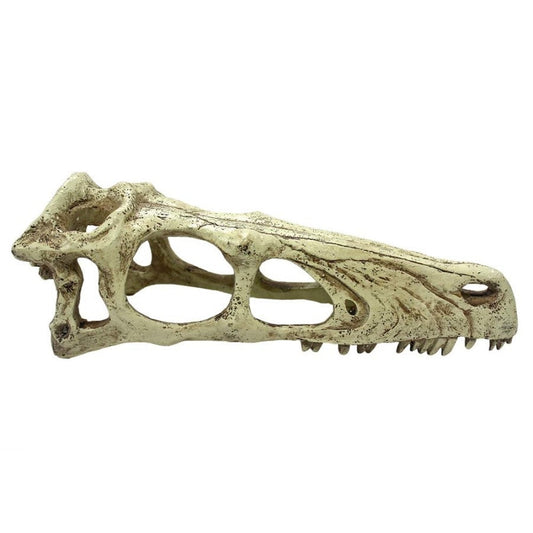 Komodo Raptor Skull Reptile Hideout Tan XL Komodo