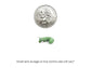 Hornworms Reptile & Amphibian Food Dubia.com Small 18ct