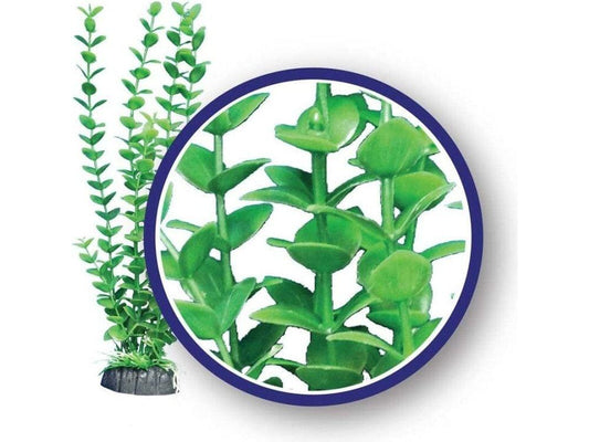 Weco Products Freshwater Series Bacopa Aquarium Plant Green, 1ea/12 in Aquatic Decor Weco