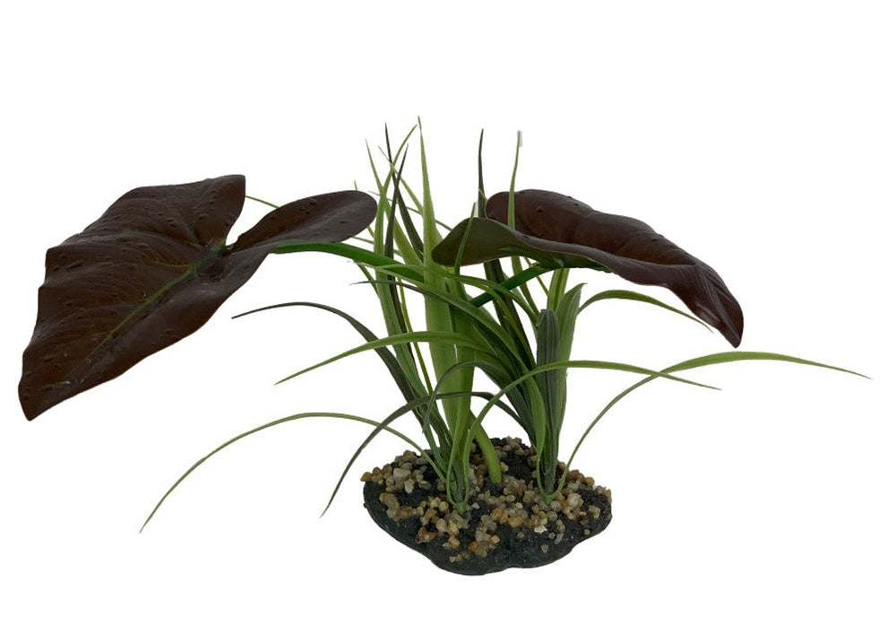 Komodo Rainforest Canopy Plant 1ea/10 in reptile supplies Komodo