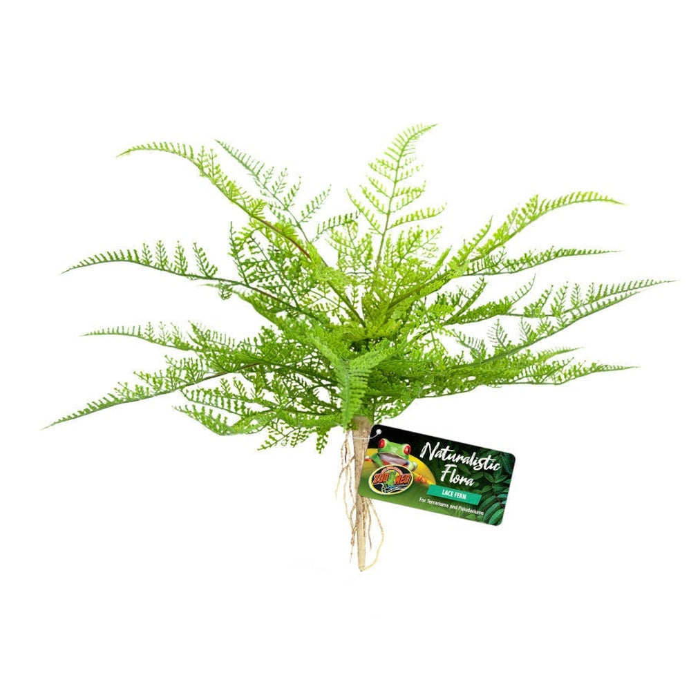 Zoo Med Naturalistic Flora Lace Fern Terrarium Plant Green, Tan, 1ea