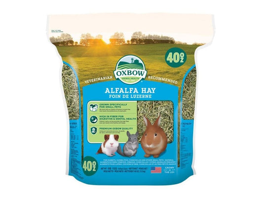Oxbow Animal Health Alfalfa Hay Small Animal Treat 1ea/40 oz