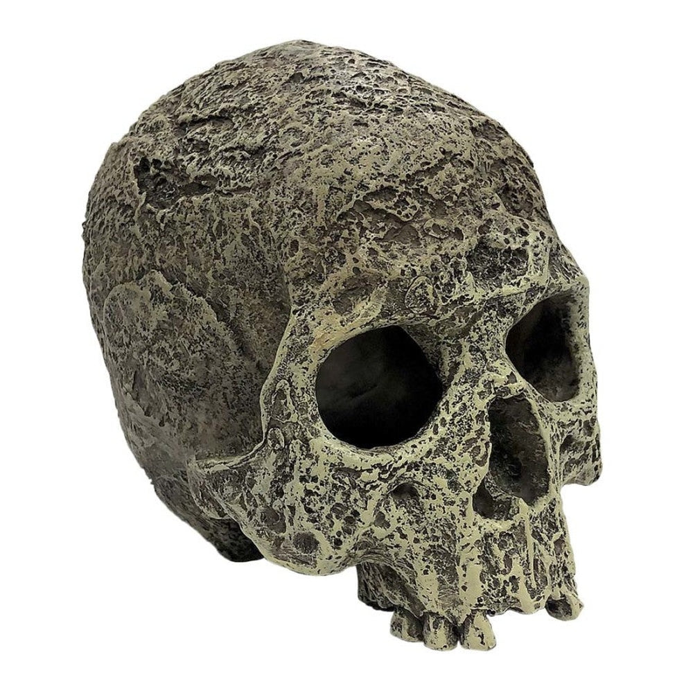 Komodo Textured Human Skull Reptile Hideout Gray One Size Komodo