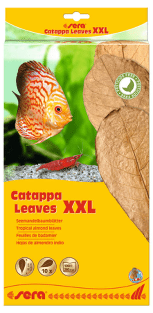 Sera Catappa Leaves, XXL Aquarium Additives Sera