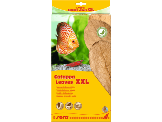Sera Catappa Leaves, XXL Aquarium Additives Sera