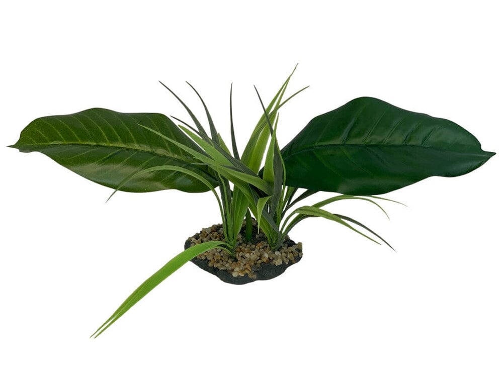 Komodo Woodland Canopy Plant 1ea/42 cm reptile supplies Komodo