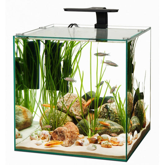 Aqueon Frameless Cube Aquarium 1ea/14