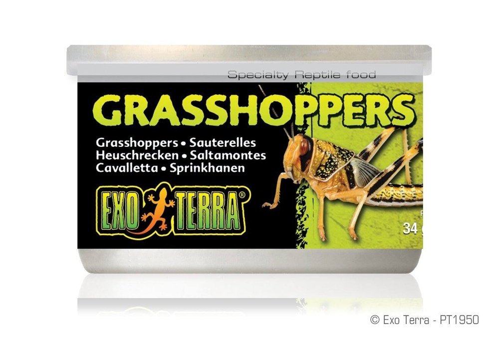 Exo Terra Canned Grasshoppers