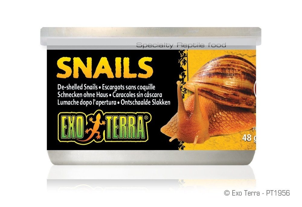 Exo Terra Canned Snails