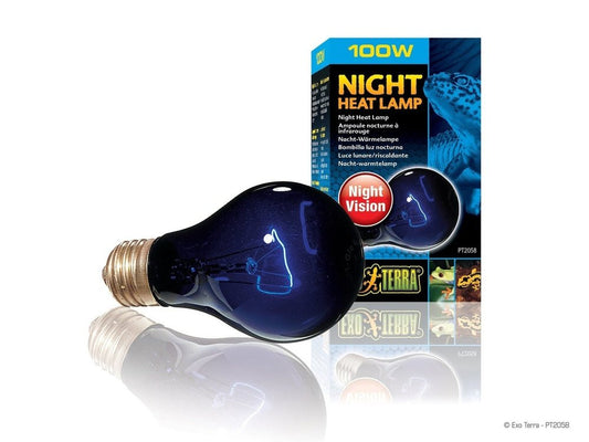 Exo Terra Night Heat Lamp, 100w - Dubia.com