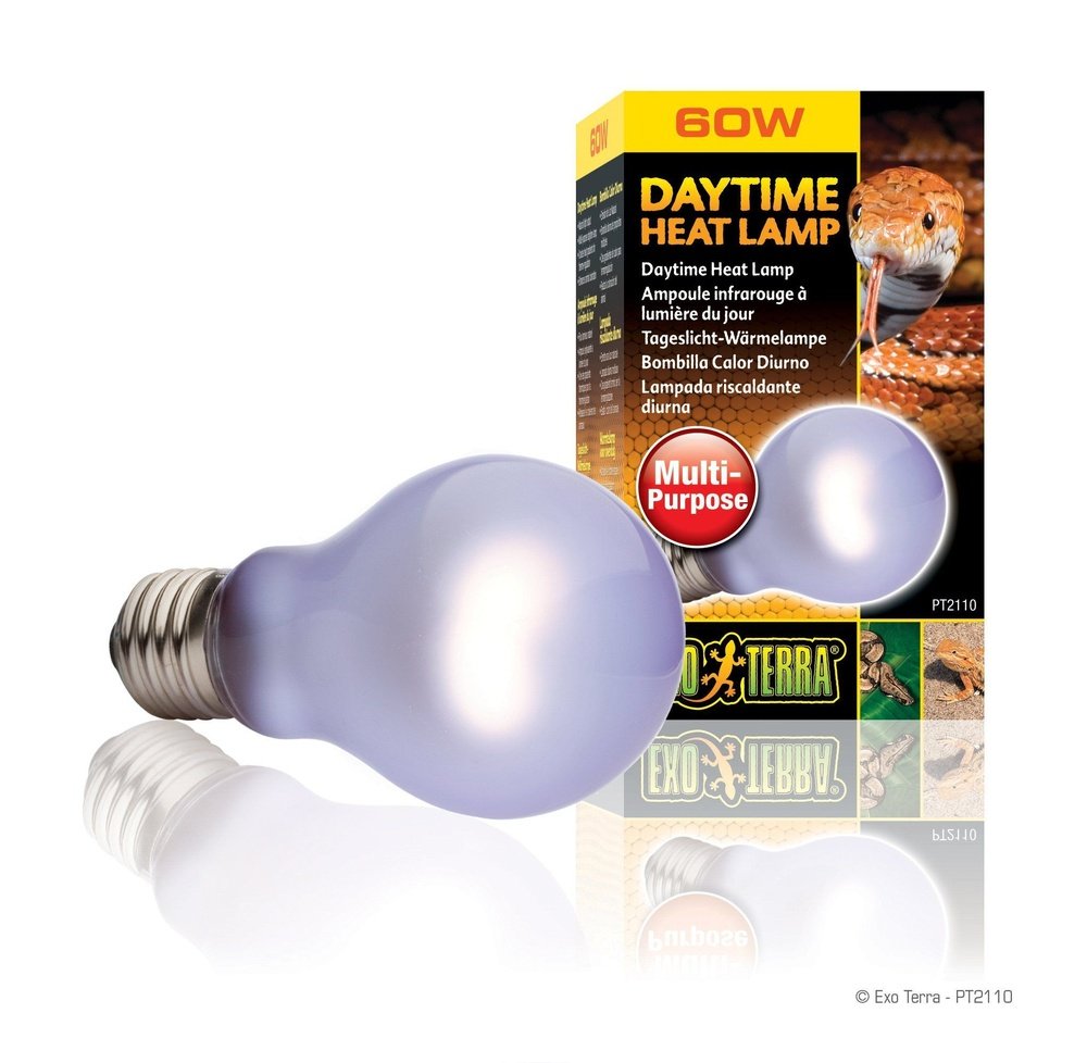 Exo Terra Daytime Heat Lamp, 60w - Dubia.com
