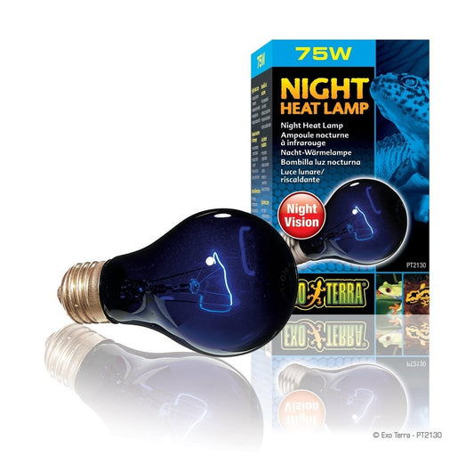 Exo Terra Night Heat Lamp, 75w
