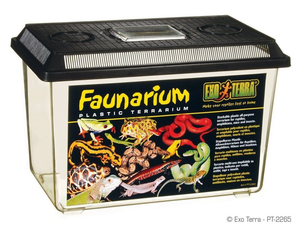 Exo Terra Faunarium, Large - Dubia.com