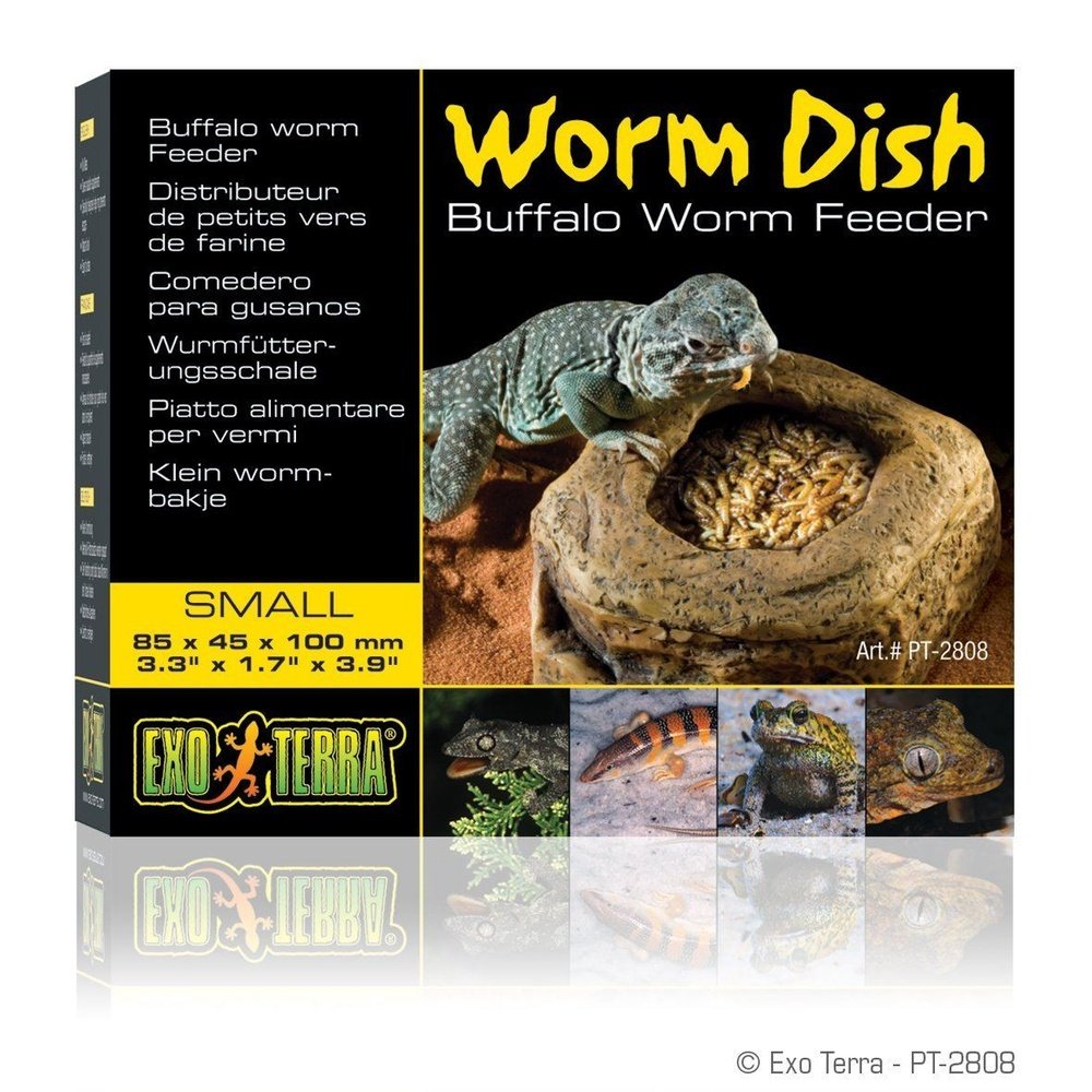 Exo Terra Worm Dish, Small - Dubia.com