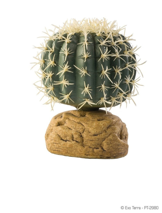 Exo Terra Barrel Cactus, Small - Dubia.com