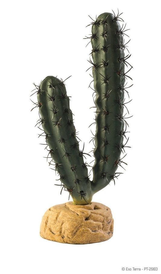 Exo Terra Finger Cactus - Dubia.com