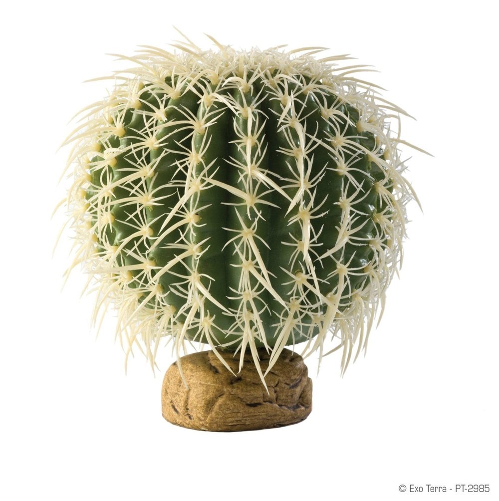 Exo Terra Barrel Cactus, Medium - Dubia.com