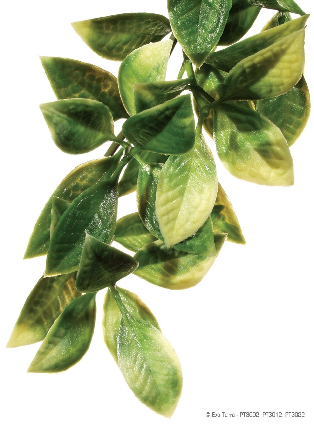 Exo Terra Mandarin Plant, Medium - Dubia.com