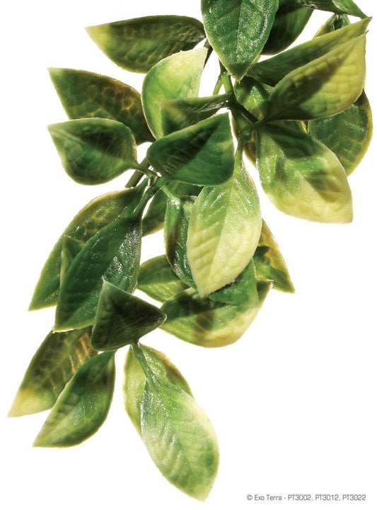 Exo Terra Mandarin Plant, Large - Dubia.com